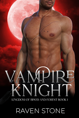 book cover for Vampire Knight by Raven Stone
