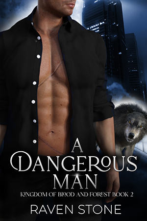 book cover for A Dangerous Man by Raven Stone